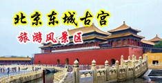 嗯H视频中国北京-东城古宫旅游风景区
